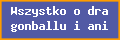 Wszystko o dragonballu i anime